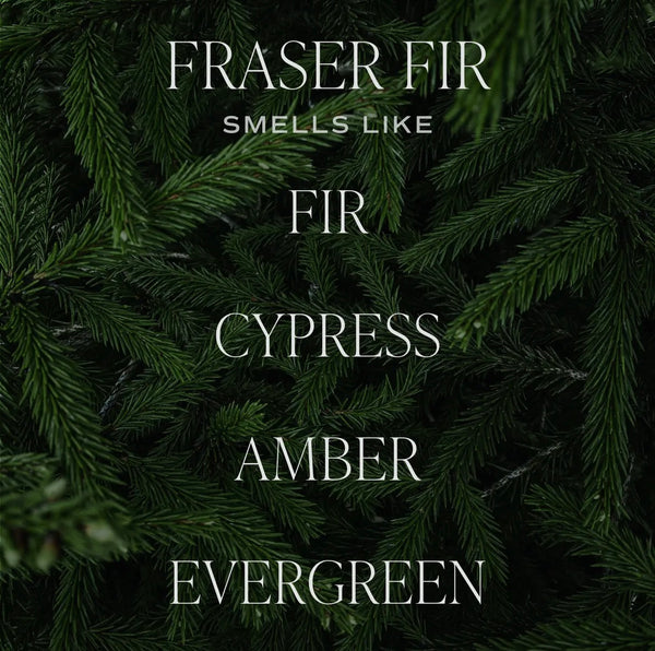 Fraser Fir Hanging Air Freshener