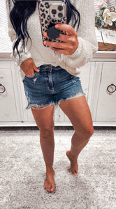 Judy Blue Dark Wash Distressed Shorts